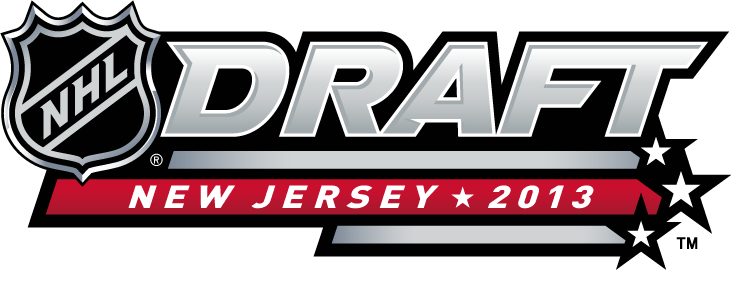 NHL Draft 2013 Alternate Logo iron on heat transfer